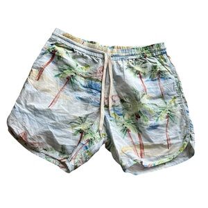 FARM RIO Cotton Shorts size Mens 40 (Medium)